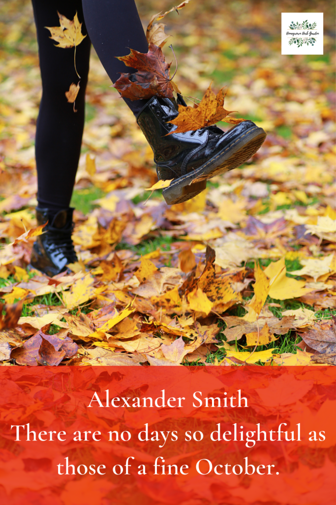 Autumn And Fall Quotes For Changing Seasons Homegrown Herb Garden