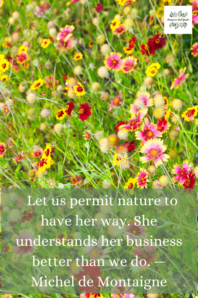 Getting Back To Nature Quotes For Those Who Love The Outdoors Homegrown Herb Garden