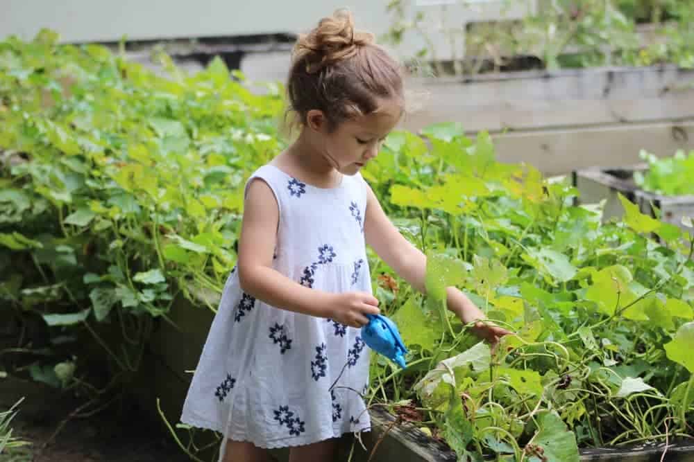 Teaching Children How To Love Their Garden Homegrown