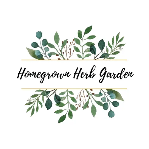 Herbs That Go Well With Lamb & Recipes - Homegrown Herb Garden Avatar