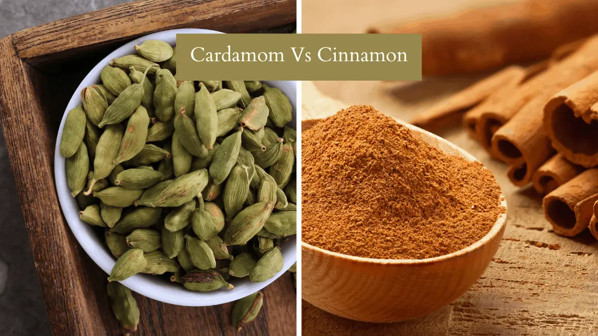 Cardamom Cinnamon Meaning at Ana Herbert blog