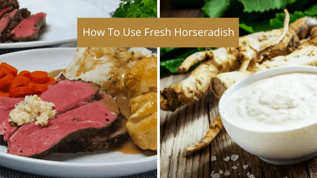 Recipes & Ideas For Fresh Horseradish Homegrown Herb Garden