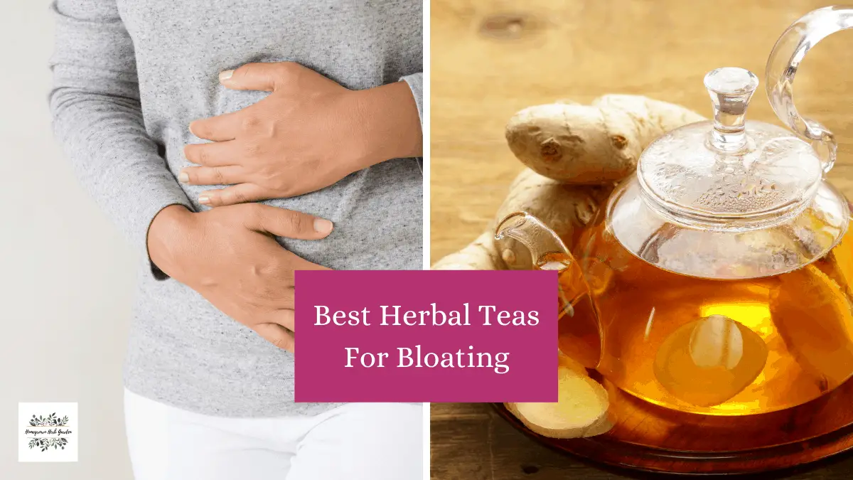 Best Herbal Teas For Relieving Bloating Homegrown Herb Garden