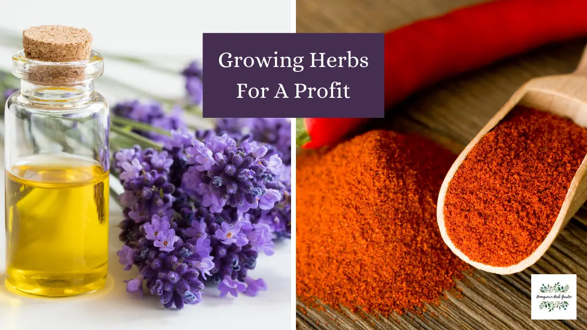 Herbs That Sell Best Making A Profit Selling Herbs Homegrown Herb