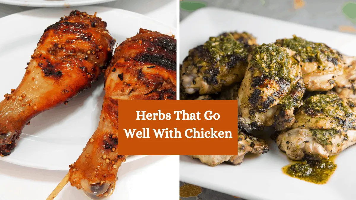 Herbs That Go Well With Chicken & How To Use Them Homegrown Herb Garden
