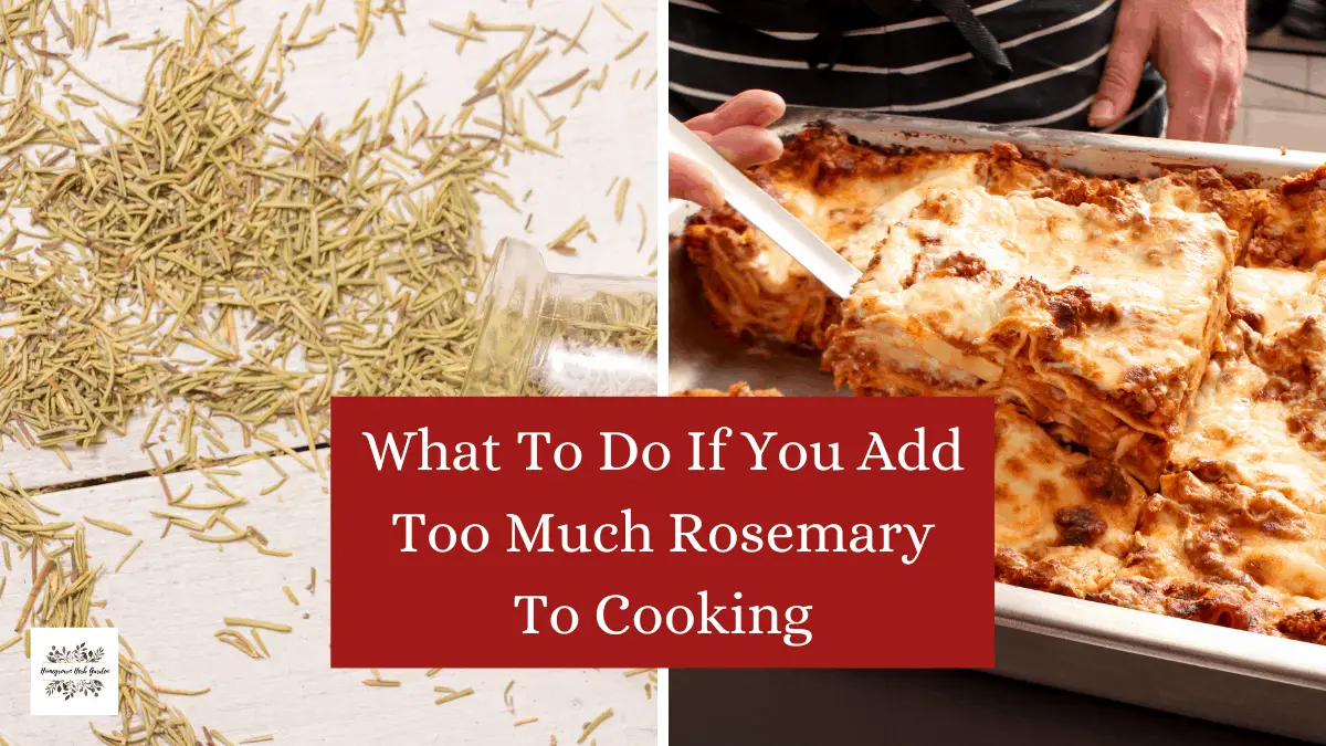 What To Do If You Add Too Much Rosemary To Cooking Homegrown Herb Garden