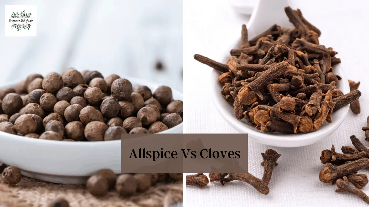 Allspice Vs Cloves Differences & Uses Homegrown Herb Garden