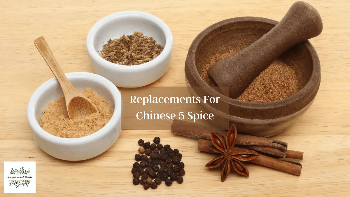 Chinese 5 Spice Substitutes & Replacements Homegrown Herb Garden