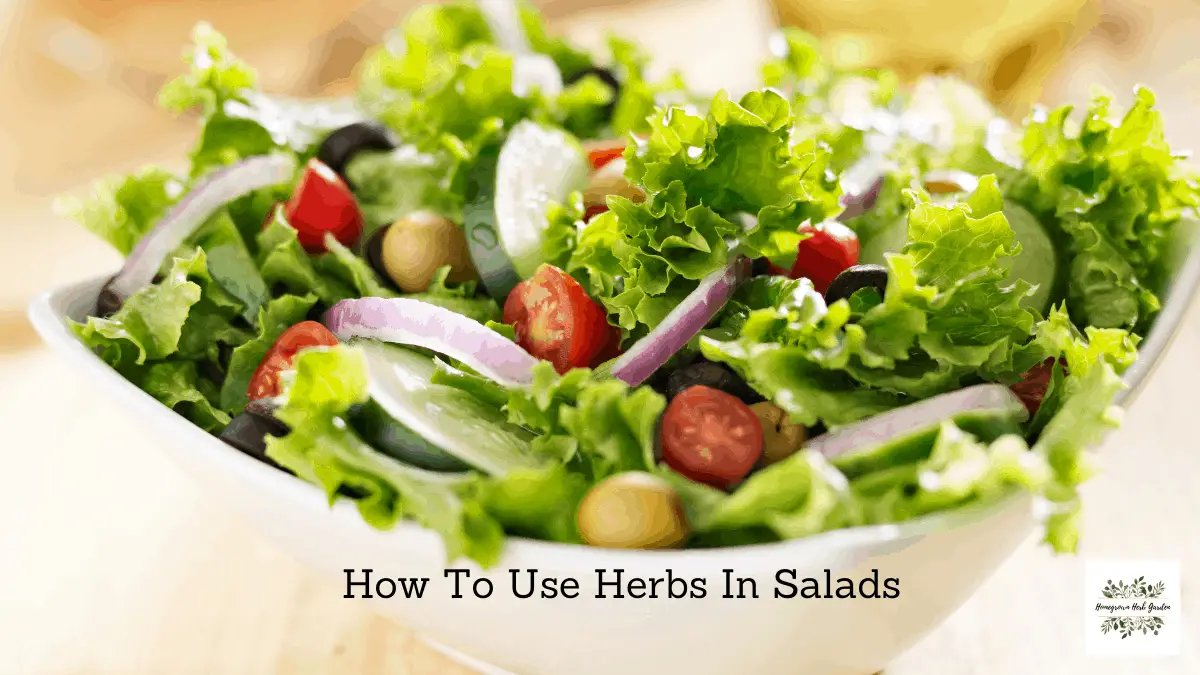 Using Herbs In Salads, How & Which Ones Are Best Homegrown Herb Garden