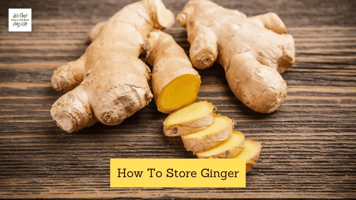 Best Ways To Store Ginger For Freshness Homegrown Herb Garden